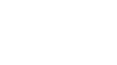 Rehoming Fido